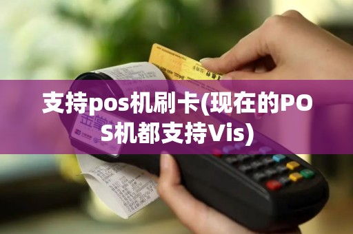 支持pos机刷卡(现在的POS机都支持Vis)