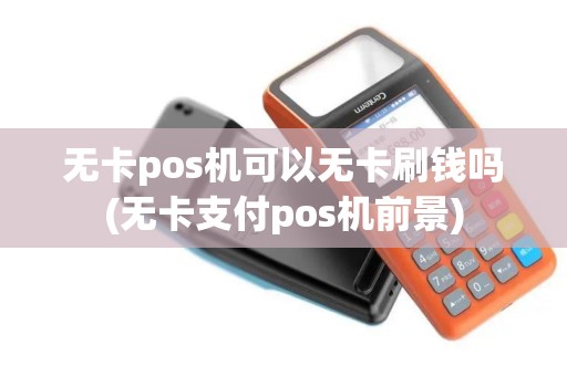 无卡pos机可以无卡刷钱吗(无卡支付pos机前景)