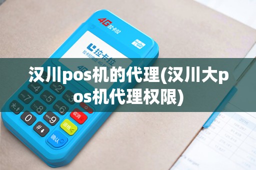 汉川pos机的代理(汉川大pos机代理权限)