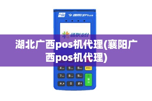 湖北广西pos机代理(襄阳广西pos机代理)