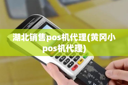 湖北销售pos机代理(黄冈小pos机代理)