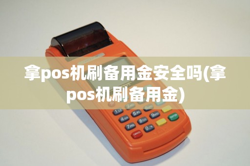 拿pos机刷备用金安全吗(拿pos机刷备用金)