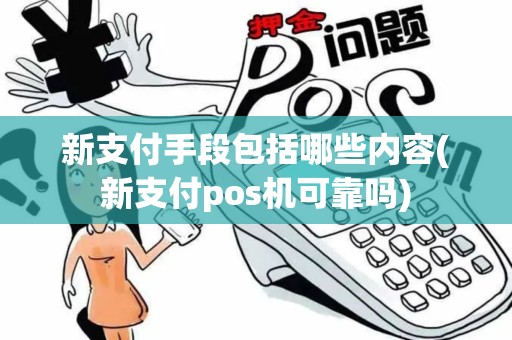 新支付手段包括哪些内容(新支付pos机可靠吗)