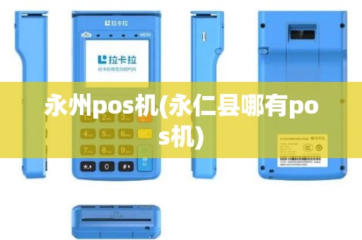 永州pos机(永仁县哪有pos机)