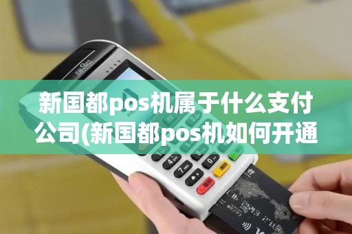 新国都pos机属于什么支付公司(新国都pos机如何开通)