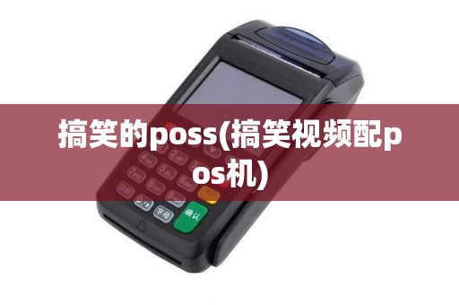 搞笑的poss(搞笑视频配pos机)