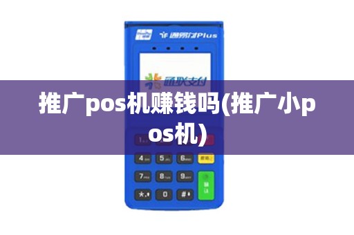 推广pos机赚钱吗(推广小pos机)