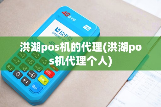 洪湖pos机的代理(洪湖pos机代理个人)