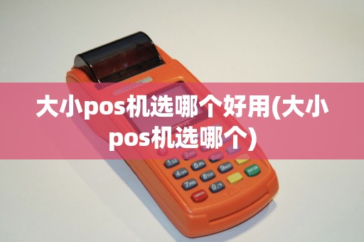 大小pos机选哪个好用(大小pos机选哪个)