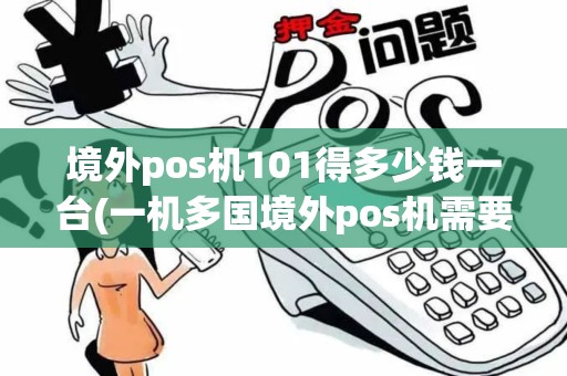 境外pos机101得多少钱一台(一机多国境外pos机需要多久)