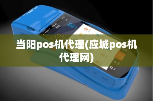 当阳pos机代理(应城pos机代理网)