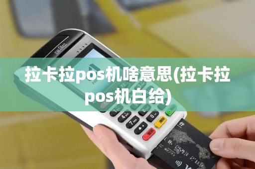 拉卡拉pos机啥意思(拉卡拉pos机白给)