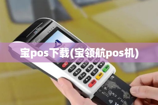 宝pos下载(宝领航pos机)