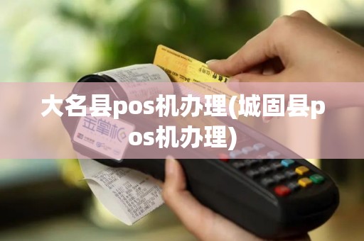 大名县pos机办理(城固县pos机办理)