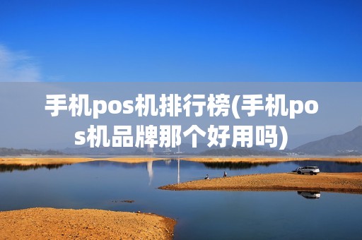 手机pos机排行榜(手机pos机品牌那个好用吗)