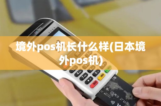 境外pos机长什么样(日本境外pos机)