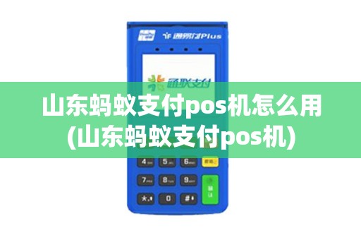 山东蚂蚁支付pos机怎么用(山东蚂蚁支付pos机)