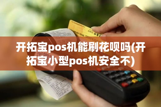 开拓宝pos机能刷花呗吗(开拓宝小型pos机安全不)