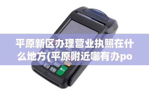 平原新区办理营业执照在什么地方(平原附近哪有办pos机的)