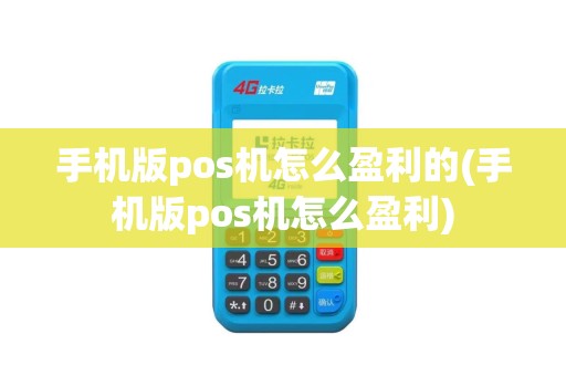 手机版pos机怎么盈利的(手机版pos机怎么盈利)
