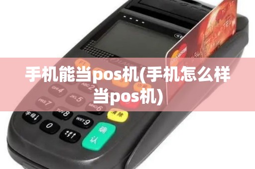 手机能当pos机(手机怎么样当pos机)
