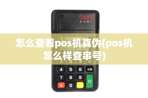 怎么查看pos机真伪(pos机怎么样查串号)