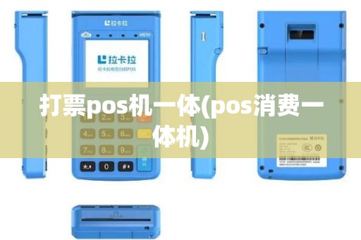 打票pos机一体(pos消费一体机)