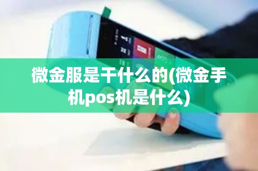 微金服是干什么的(微金手机pos机是什么)