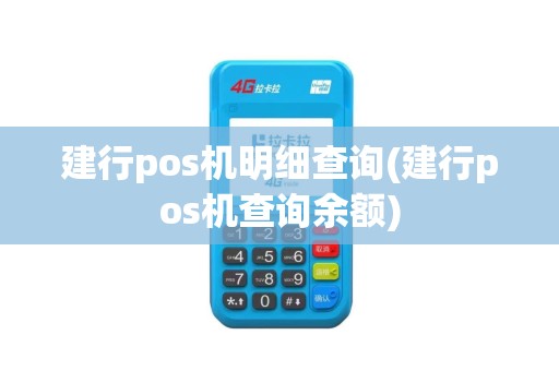 建行pos机明细查询(建行pos机查询余额)