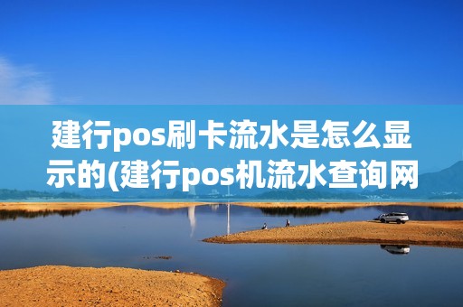 建行pos刷卡流水是怎么显示的(建行pos机流水查询网站)