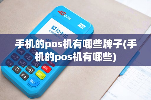 手机的pos机有哪些牌子(手机的pos机有哪些)