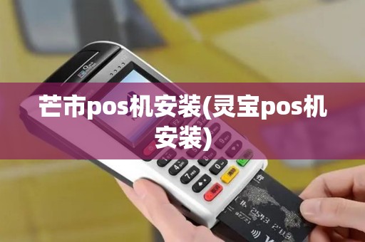 芒市pos机安装(灵宝pos机安装)