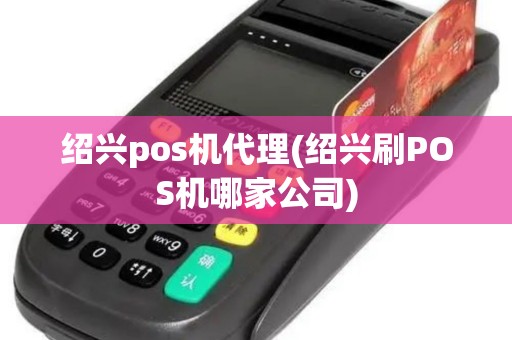 绍兴pos机代理(绍兴刷POS机哪家公司)