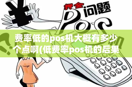 费率低的pos机大概有多少个点啊(低费率pos机的后果)