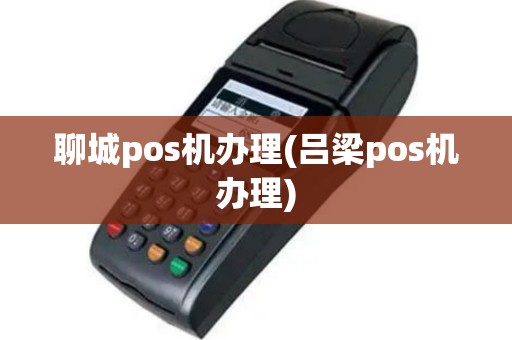 聊城pos机办理(吕梁pos机办理)