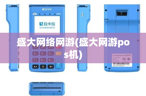 盛大网络网游(盛大网游pos机)