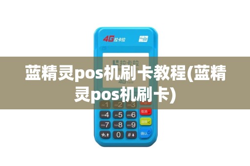 蓝精灵pos机刷卡教程(蓝精灵pos机刷卡)