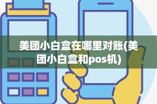 美团小白盒在哪里对账(美团小白盒和pos机)