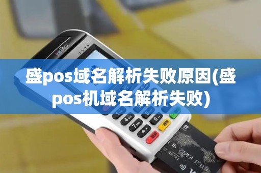 盛pos域名解析失败原因(盛pos机域名解析失败)