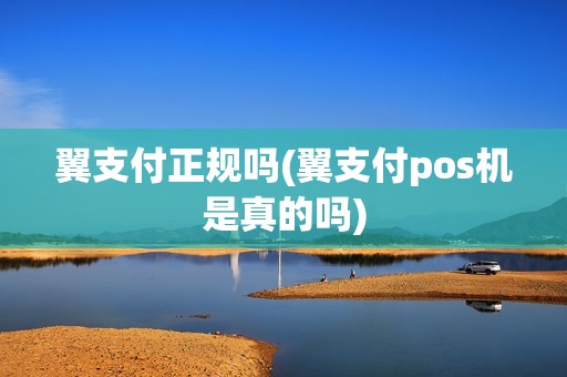翼支付正规吗(翼支付pos机是真的吗)