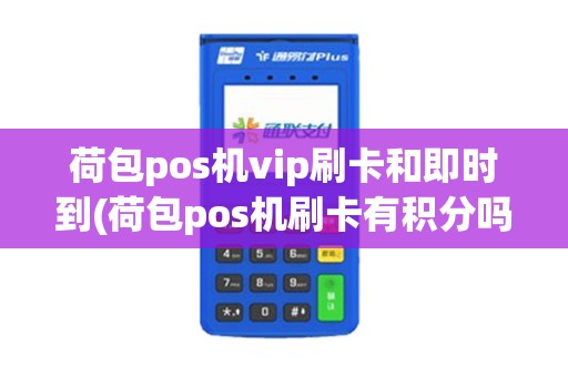 荷包pos机vip刷卡和即时到(荷包pos机刷卡有积分吗)
