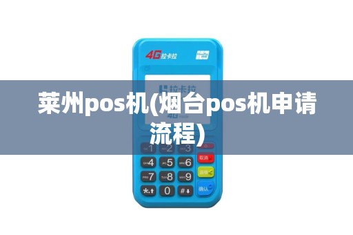 莱州pos机(烟台pos机申请流程)