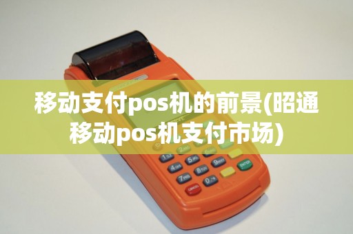 移动支付pos机的前景(昭通移动pos机支付市场)