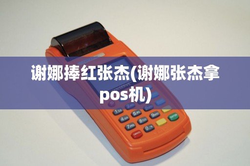 谢娜捧红张杰(谢娜张杰拿pos机)