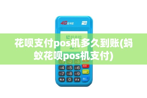 花呗支付pos机多久到账(蚂蚁花呗pos机支付)