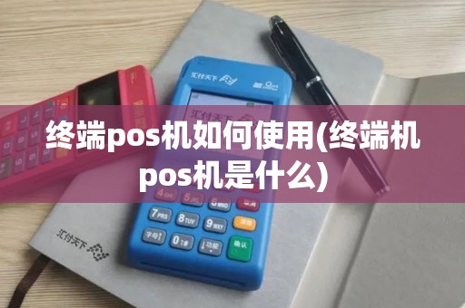 终端pos机如何使用(终端机pos机是什么)