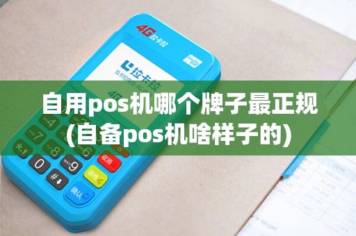 自用pos机哪个牌子最正规(自备pos机啥样子的)