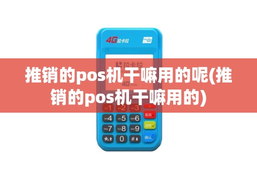 推销的pos机干嘛用的呢(推销的pos机干嘛用的)