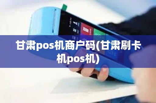 甘肃pos机商户码(甘肃刷卡机pos机)