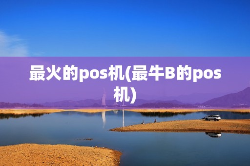 最火的pos机(最牛B的pos机)